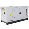 C65P5 Diesel Generator