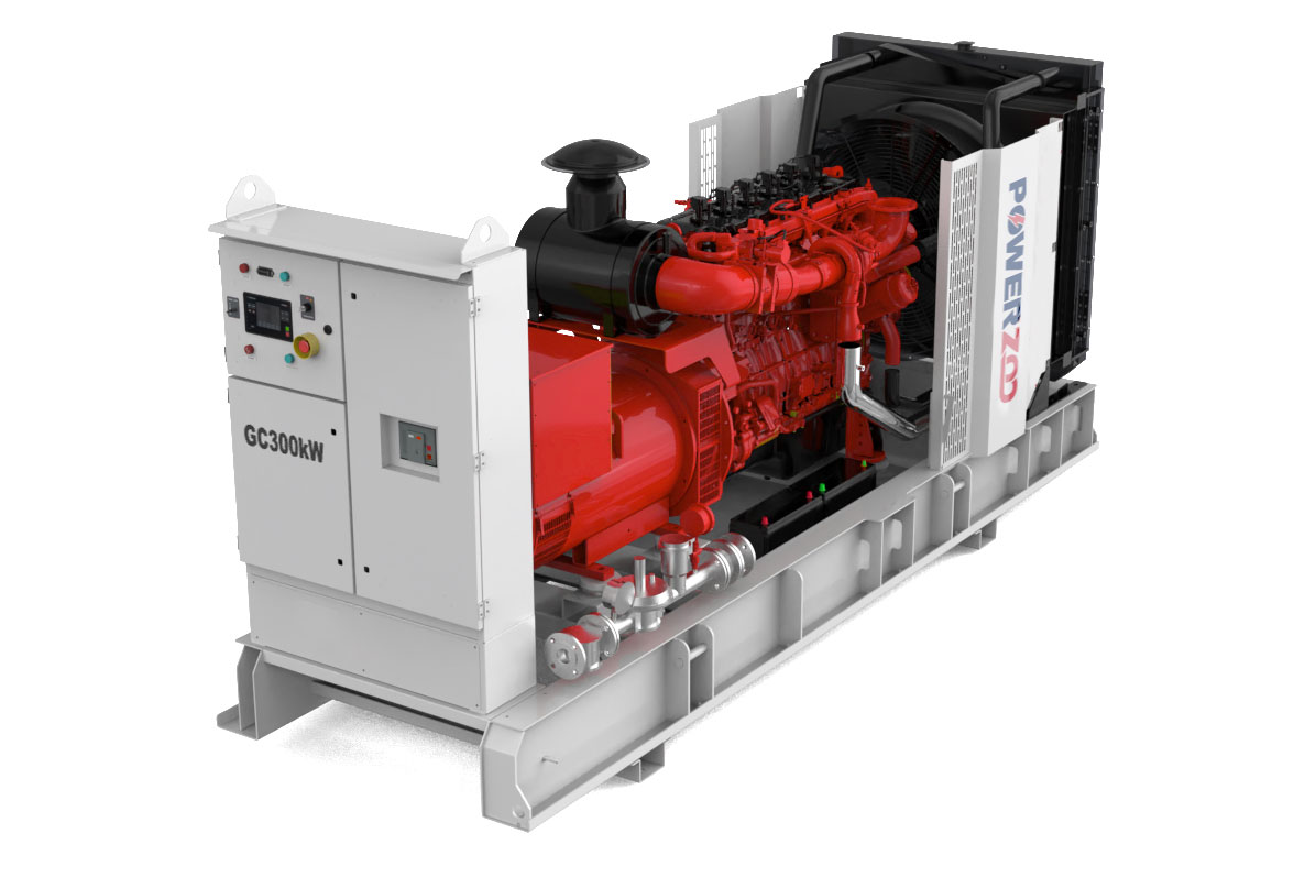 Cummins natrual gas generator 300kW 02